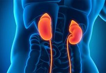 Proteus Intensivão 2020