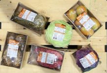Bio Brazil Fair | Biofach America Latina e Naturaltech realizam webinar dia 23