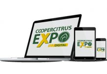 Coopercitrus Expo Digital supera R$1,1 bilhão em negócios