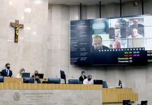 Câmara Municipal de SP terá audiência pública para discutir a retomada das feiras e eventos