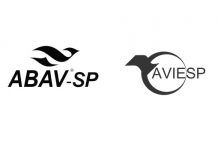 Abav-SP e Aviesp realizam debate no Clubhouse para agentes de viagens