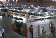 Fenin Fashion Gramado 2021 começa no Serra Park e vai até 29 de janeiro