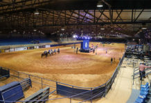 Expo Tradição da Mogiana marca o primeiro evento presencial da agência Intensitá