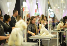 Feipet confirma sua realização de 26 a 28 de setembro em Novo Hamburgo