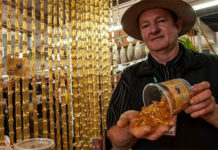 Expointer explica quais serão os protocolos sanitários dentro da feira agropecuária