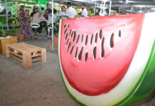 Mossoró receberá em novembro a Expofruit, feira da fruticultura tropical irrigada
