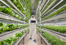 Messe Dortmund lança feira de agricultura vertical em 2022