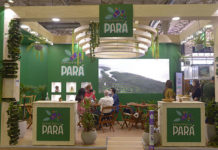 Espaço Green & Experience e a sustentabilidade serão destaques no 33º Festuris