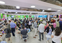 Nova edição da Feira Zero Grau encerra com crescimento