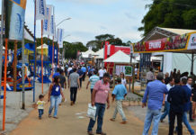 Expocafé 2022 será realizada de 25 a 27 de maio com novo formato