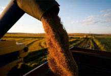 Sealba Agro Show 2022 acontece de 10 a 12 de fevereiro em Itabaiana
