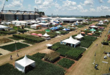 ExpoAgro Cotricampo acontece entre 24 e 26 de fevereiro
