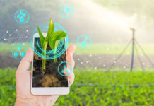 AgriFutura será palco para startups do agronegócio apresentarem suas soluções
