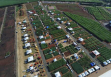8ª edição da COPLACAMPO supera expectativas com faturamento de R$ 379 milhões