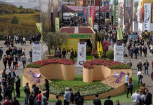 Veronafiere mantém confirmada a feira Vinitaly 2022