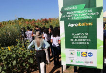 AGROBALSAS 2022 segue confirmada entre os dias 16 e 20 de maio