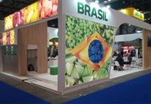 Fruticultores brasileiros vão à Alemanha participar da Fruit Logistica 2022