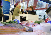 Mudança da Seafood Expo Global para Espanha gera bons resultados