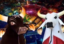Arena Planeta Boi traz “duelo” entre Caprichoso e Garantido em 28 de maio