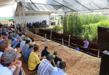 Showtec 2022 será realizada de 25 a 27 de maio com grande programação