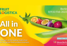 Fruit Logistica e Asia Fruit Logistica lançam nova identidade de marca “All in One”