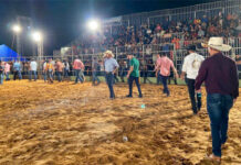 Governo do Tocantins destina mais de R$ 5,5 milhões para eventos agropecuários em todo o Estado