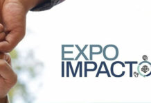 Expo Impacto acontece no Eixo Cultural Ibero-Americano entre 23 e 26 de junho