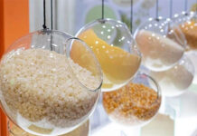Congresso Summit of Nutrition será um dos destaques da FiSA 2022