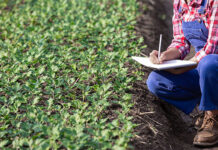 YAMI 2022 apresentará à juventude do Brasil as oportunidades do agro
