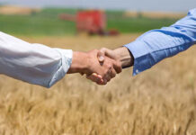 AgroShow Iúna 2022 terá oportunidade de negócios e muita diversão
