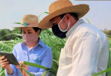 Agricultura familiar em foco com a Tecnofam 2022