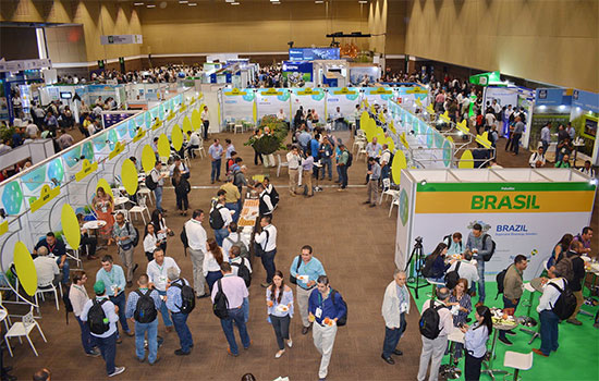 Brazil Sugarcane leva empresas brasileiras para a ExpoAtam no México - Portal  Radar