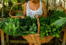 Trancoso recebe a terceira edição do Organic Festival em outubro