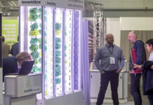 Vertifarm 2023 apresentará métodos de cultivo e reprodução