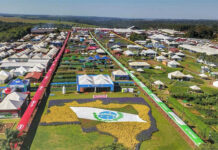 Secretaria da Agricultura do Paraná publica calendário de eventos do setor agropecuário