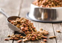Inscrições para participação no China Feed Industry Expo 2023 estão abertas