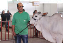 Exposul Rural 2023 será em maio no novo centro de eventos de Cachoeiro