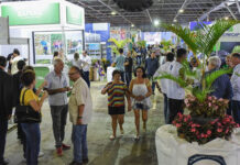 Exposul Rural 2023 apresenta mais detalhes de sua programação