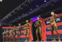 Horsepower SHOW 2023 está com inscrições abertas