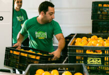 Mesa Brasil Sesc realiza ação solidária na ANUFOOD Brazil 2023