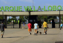Festival Olímpico Parque Time Brasil fecha novas parcerias