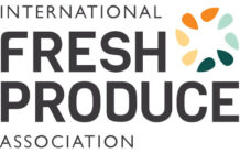 IFPA negocia aceleradora focada em tecnologia climática inteligente em Berlim