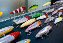 Pesca & Companhia Trade Show 2024 confirma novidades e atrações