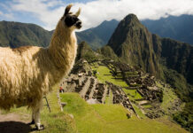 Expo Peru Brasil chega a São Paulo para promoção das riquezas do país andino