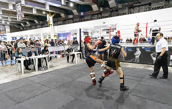 Mercado de artes marciais crescerá US$ 249 milhões até 2025