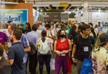 Medical Cannabis Fair 2023: Quantidade de startups do setor deve dobrar em dois anos