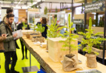 Messe München e meplan doam 3.000 mudas de árvores para reflorestamento