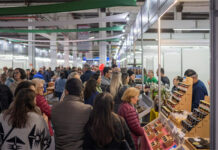 31ª ExpoBento e 18ª Fenavinho foram acompanhadas por mais de 260 mil visitantes