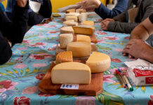 Parque Vila Germânica será palco da 6ª edição do concurso Prêmio Queijo Brasil