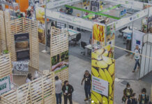 PEC Nordeste 2023 começa hoje com a expectativa de receber 50 mil visitantes